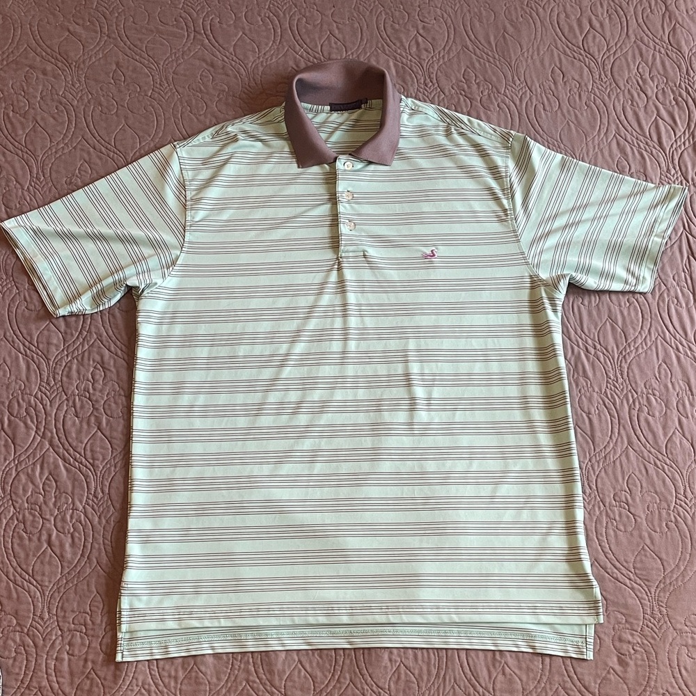 Southern Marsh Mint Green Striped Polo with Brown Collar